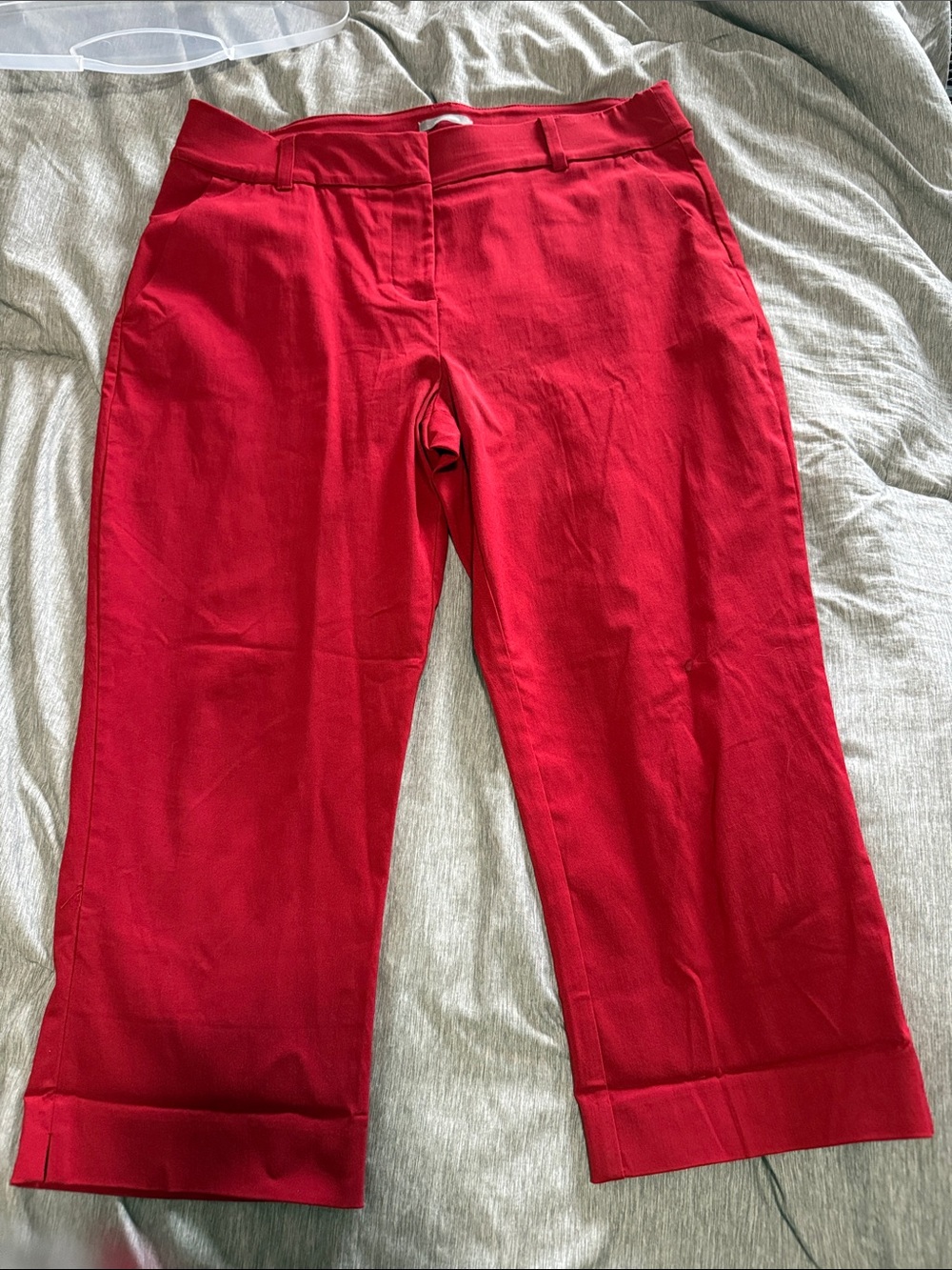Maurices Red Cropped Tailored Pants